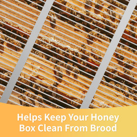 ECRIZA metal excluder with hive layout aids in organized brood and honey areas.