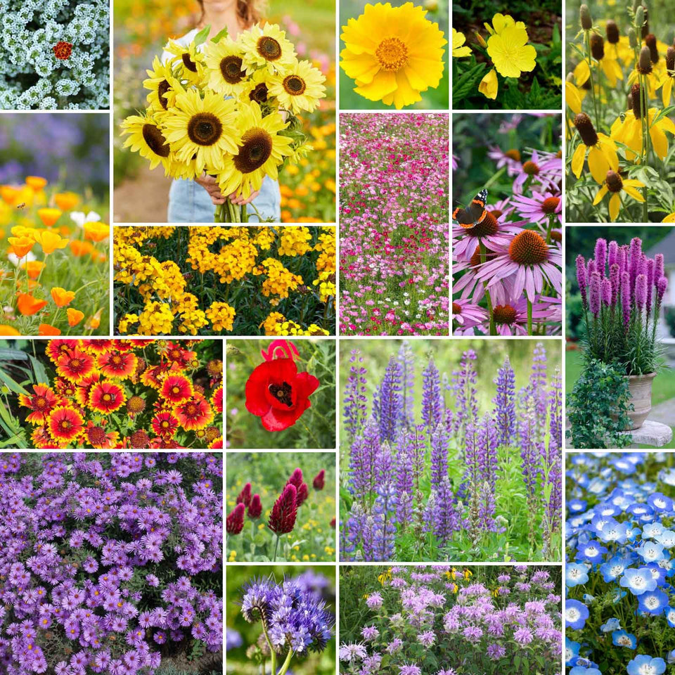 Eden Brothers Bees Knees seed mix front label ready for planting and gifting.