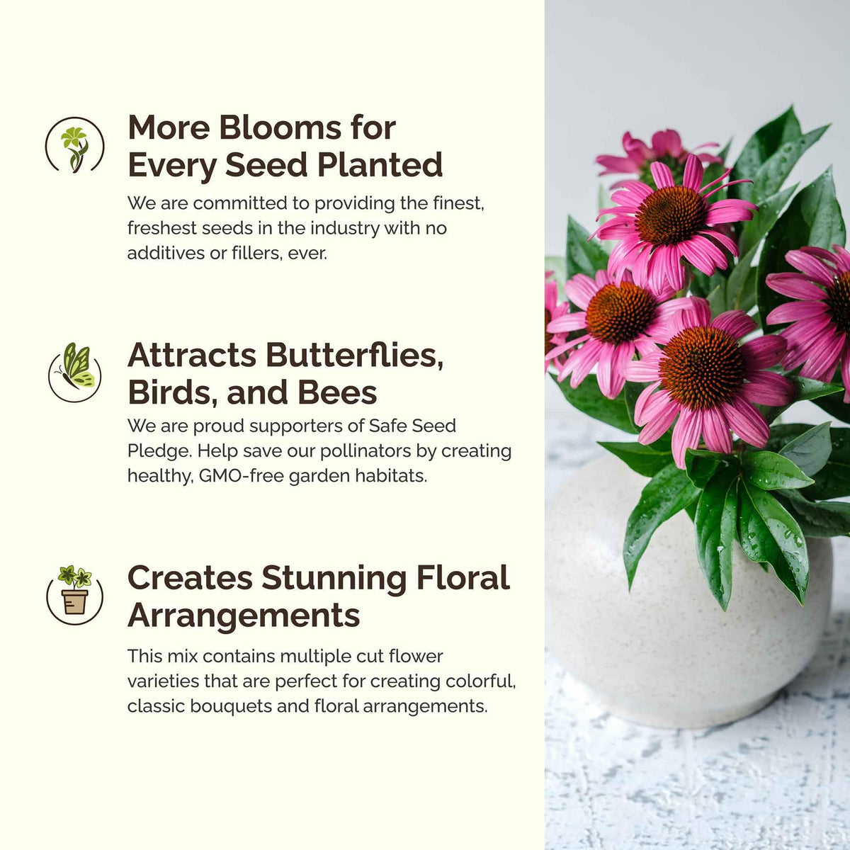 Eden Brothers Bees Knees pollinators in garden illustrate thriving habitat.
