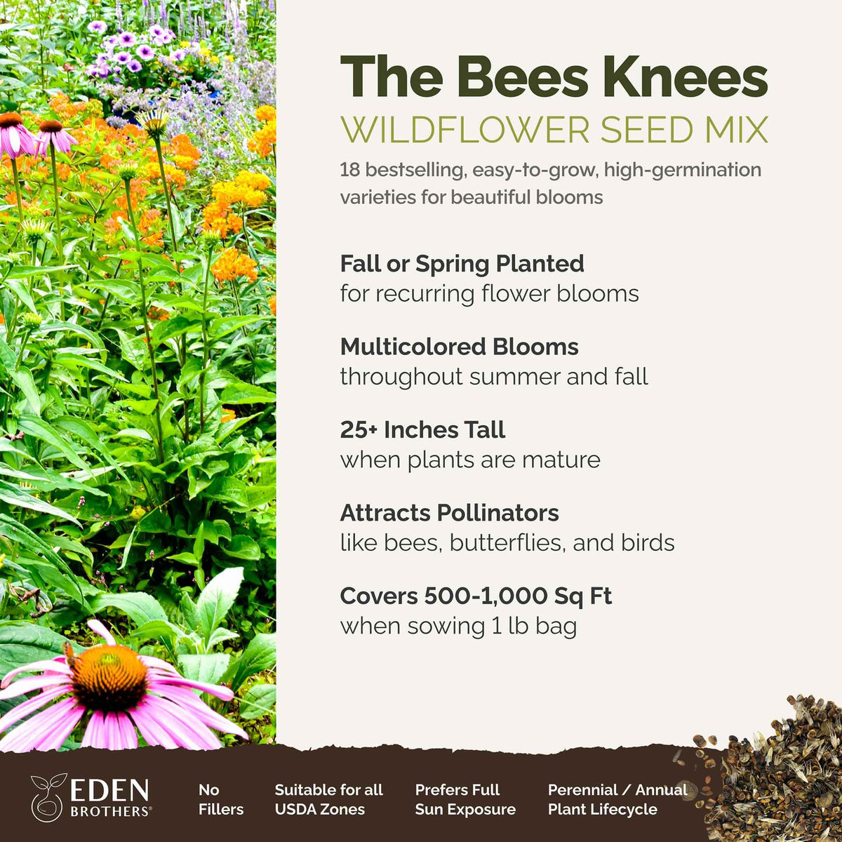 Eden Brothers Bees Knees seeds in hand show premium, non-GMO mix.