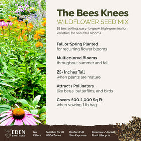 Eden Brothers Bees Knees seeds in hand show premium, non-GMO mix.