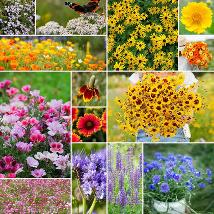 Eden Brothers Bird and Butterfly Wildflower Seed Mix ready for planting to attract pollinators.