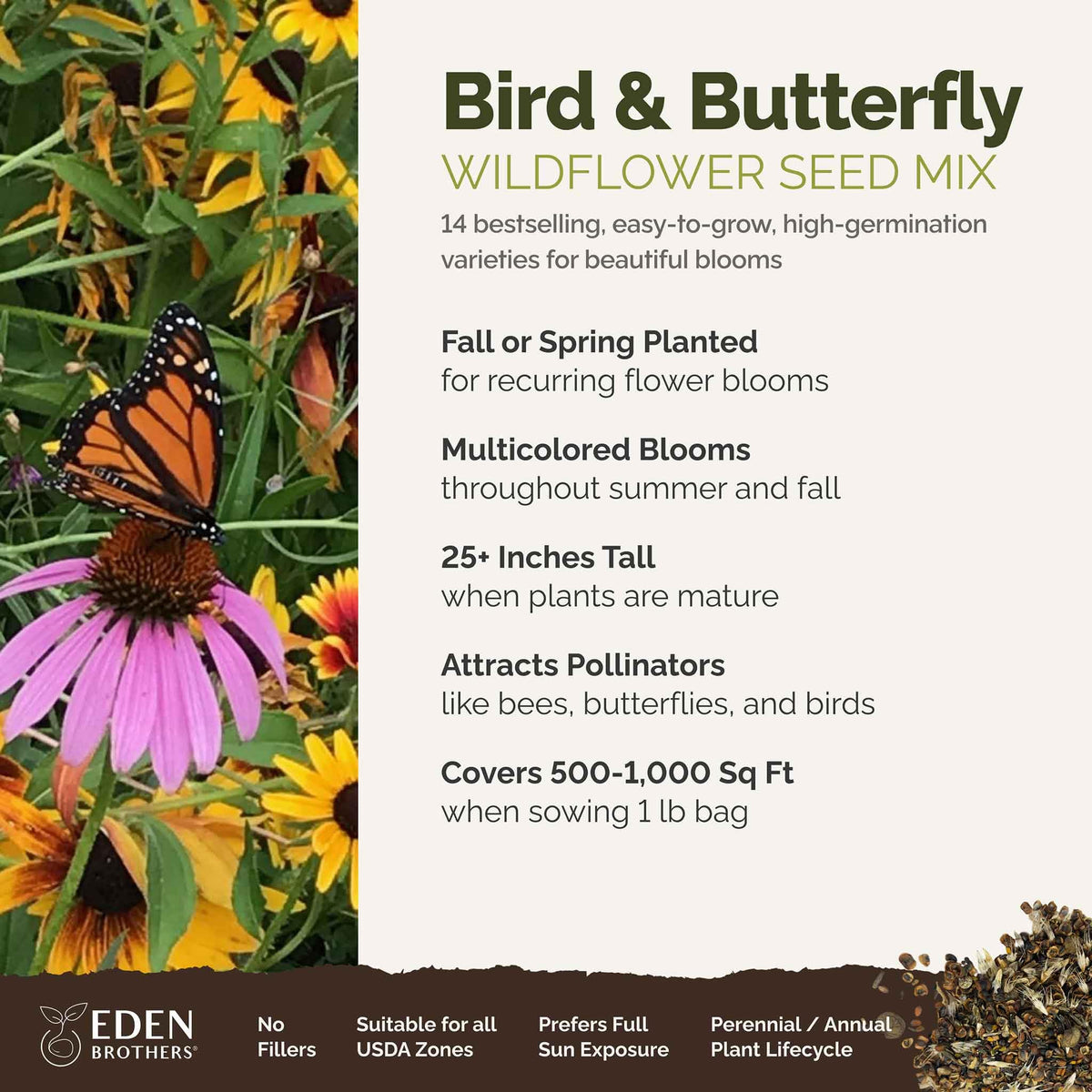 Eden Brothers Cosmos and Indian Blanket wildflowers bloom in sun, enhancing color and biodiversity.