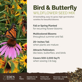 Eden Brothers Cosmos and Indian Blanket wildflowers bloom in sun, enhancing color and biodiversity.