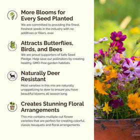 Eden Brothers Cosmos Pinkie bloom offers compact color for small spaces.