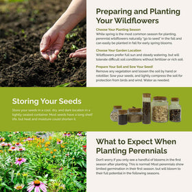 Eden Brothers high germination seed mix ready for vibrant, long-lasting blooms
