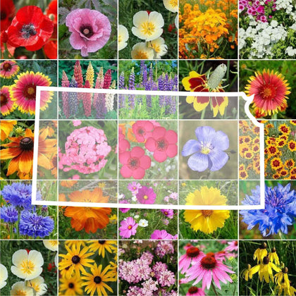 Eden Brothers Kansas Wildflower Mixed Seeds bag ready for easy planting.