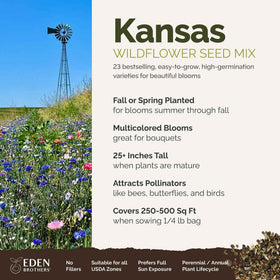 Close-up of Eden Brothers Kansas Wildflower Mixed Seeds, pure blend for pollinator-friendly gardens.