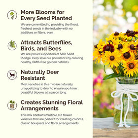 Pollinators visiting blooms from Eden Brothers Kansas Wildflower Mixed Seeds.