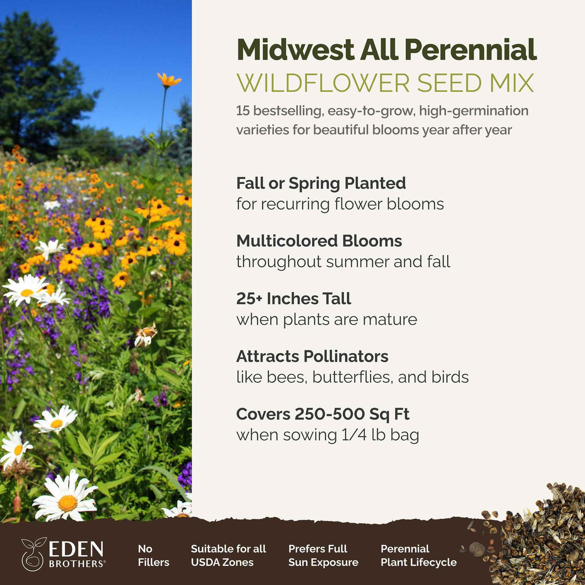 Eden Brothers pollinator-friendly wildflowers attracting bees and butterflies across a lush garden