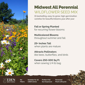Eden Brothers pollinator-friendly wildflowers attracting bees and butterflies across a lush garden