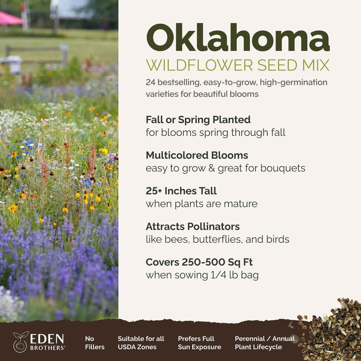 Eden Brothers pollinator-friendly blooms drawing bees and butterflies in a sunny garden.