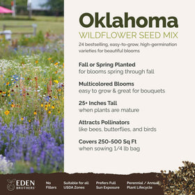 Eden Brothers pollinator-friendly blooms drawing bees and butterflies in a sunny garden.