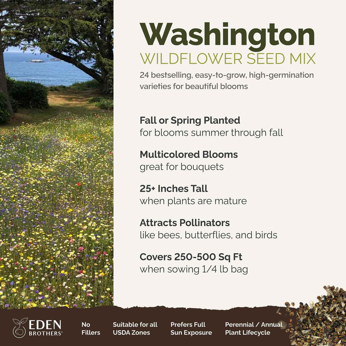 Pollinator-friendly cosmos and bluebell blooms from Eden Brothers mix