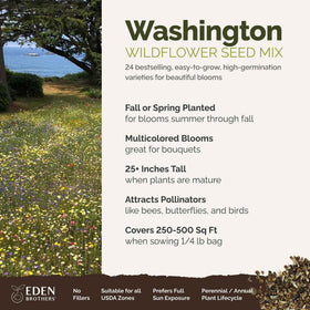 Pollinator-friendly cosmos and bluebell blooms from Eden Brothers mix