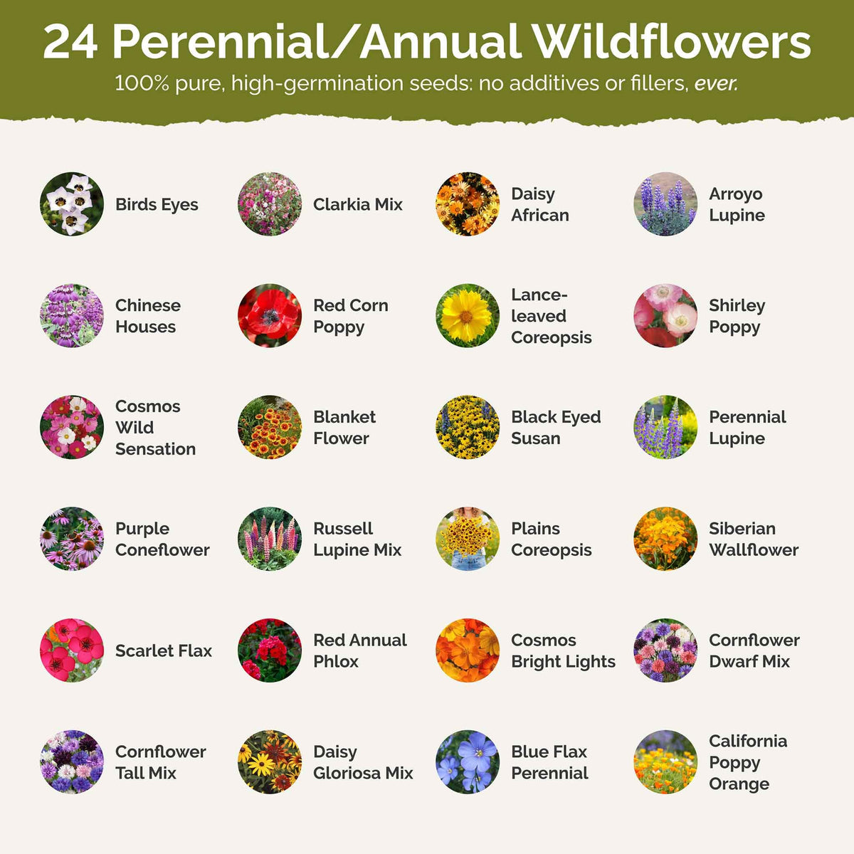 Eden Brothers multi-species seed mix labels help planning your garden.