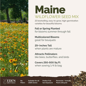Eden Brothers seed packet closeup highlighting pure, non-GMO seeds ready to plant