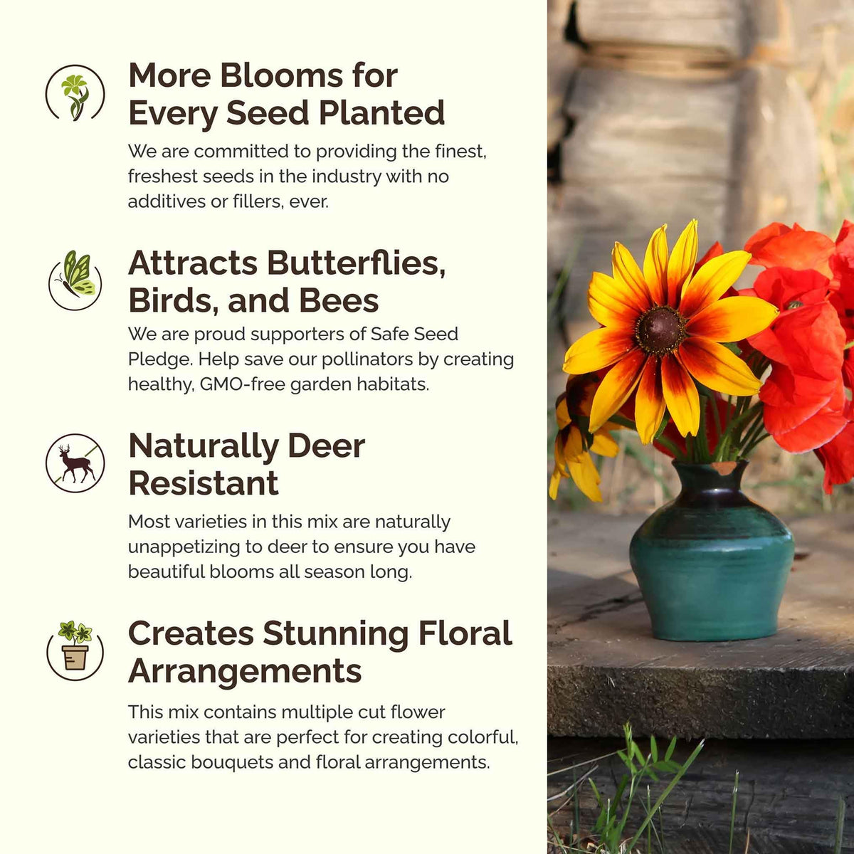 Eden Brothers Southeast Wildflower bloom collection displays colorful petals across beds.