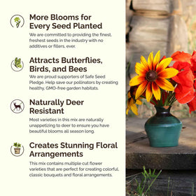 Eden Brothers Southeast Wildflower bloom collection displays colorful petals across beds.