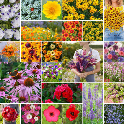 Eden Brothers Southeast Wildflower mix packaging shows 1 lb bag for pollinator-friendly gardens.