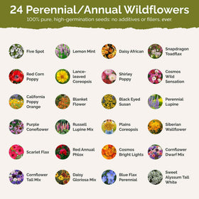 Eden Brothers Southeast Wildflower seeds attract pollinators with a diverse bloom palette.