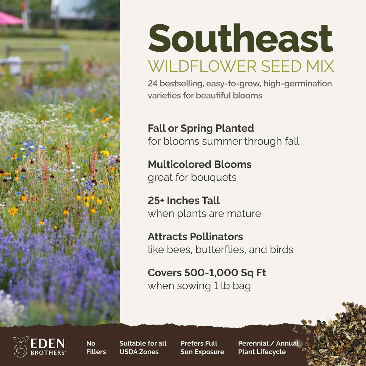 Eden Brothers Southeast Wildflower seeds spread across ground cover for vibrant sunny borders.