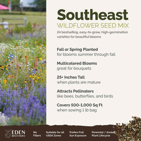 Eden Brothers Southeast Wildflower seeds spread across ground cover for vibrant sunny borders.