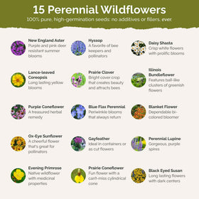Eden Brothers planting timing image showing spring or fall sowing options
