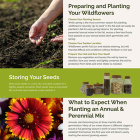Eden Brothers Sun-loving wildflowers thrive in full sun, creating vibrant seasonal color.
