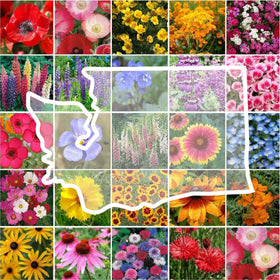 Eden Brothers Washington Wildflower Seeds packet ready for planting to attract pollinators