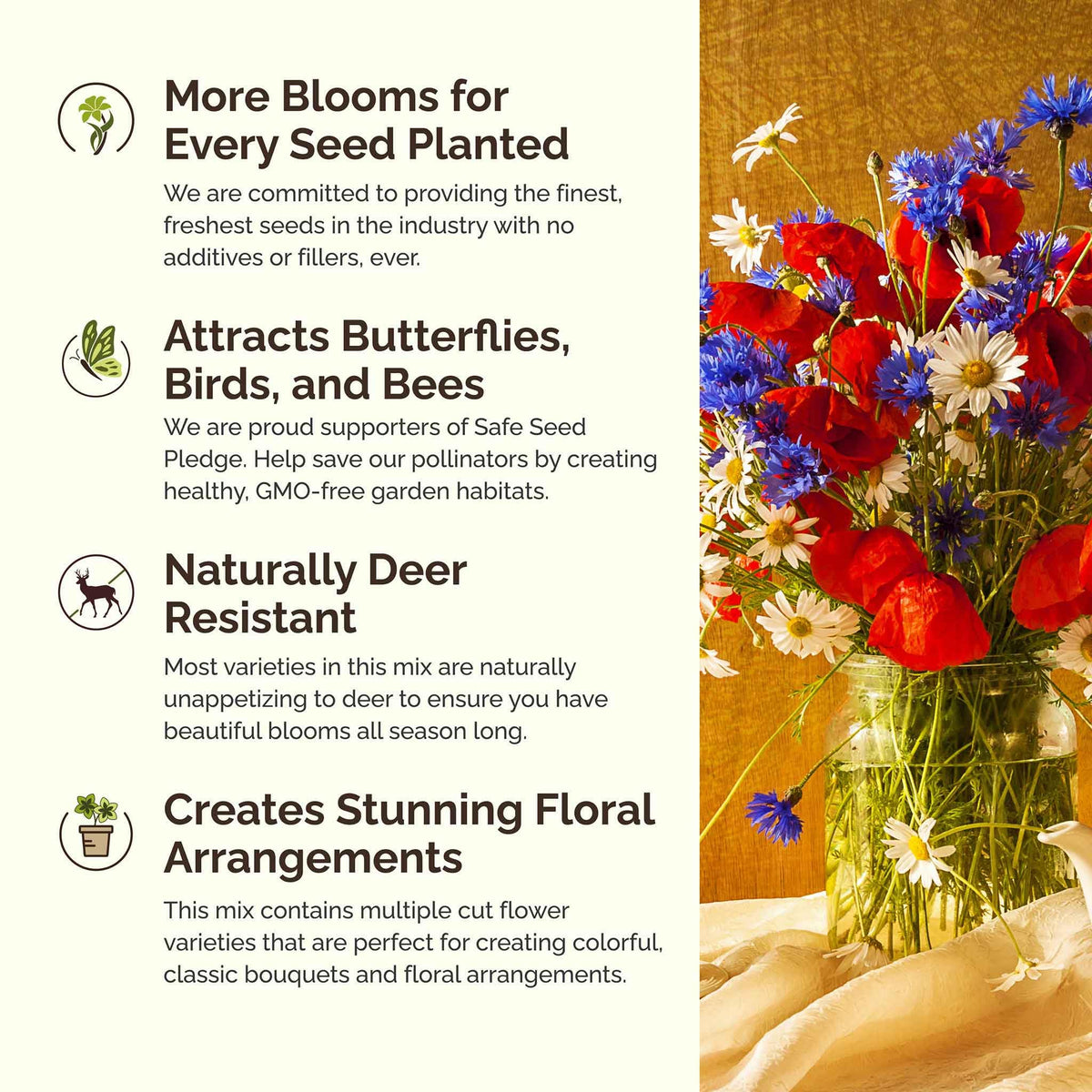 Eden Brothers wildflower bloom mix in a colorful garden bed