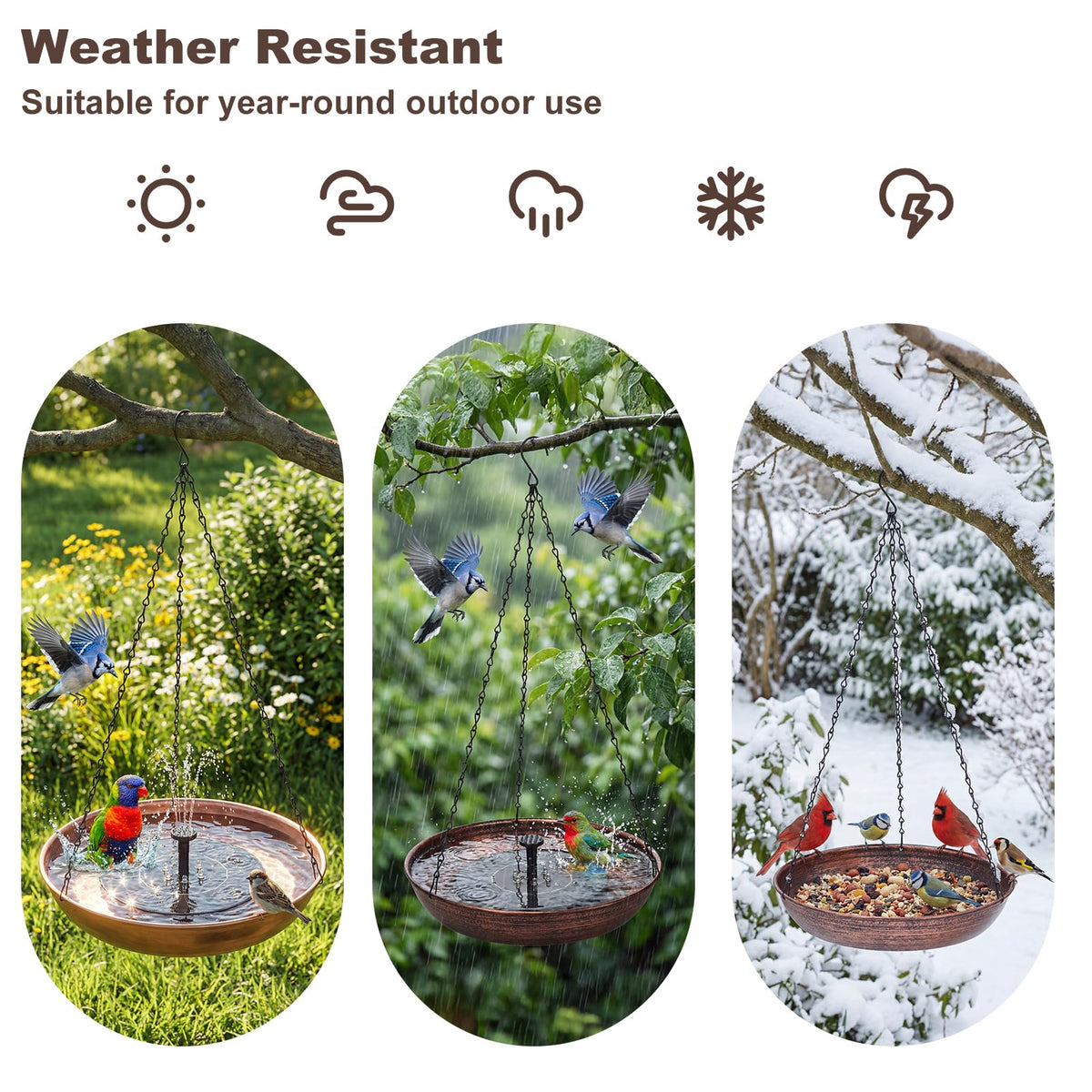Edenseelake bird feeder option adds seeds, turning the bowl into a compact garden feeder