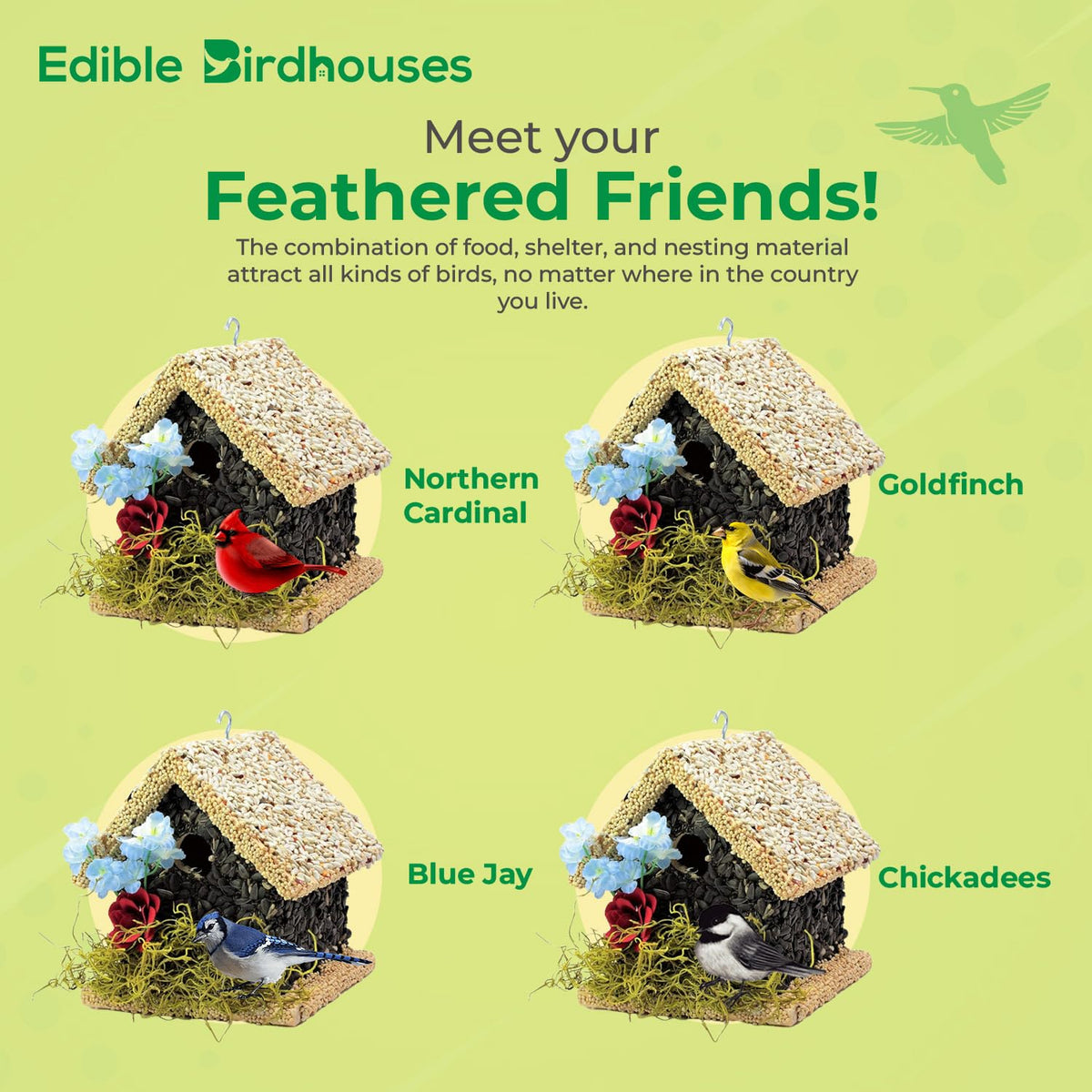 Edible Birdhouses durable design with five year guarantee