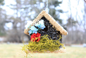 Edible Birdhouses garden watching gift for bird lovers