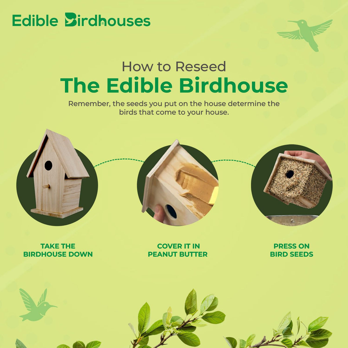 Edible Birdhouses Spanish moss nesting material included
