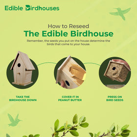 Edible Birdhouses Spanish moss nesting material included