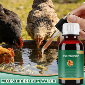 edoia Chickens & Poultry Routine Liquid in coop environment supporting routine care