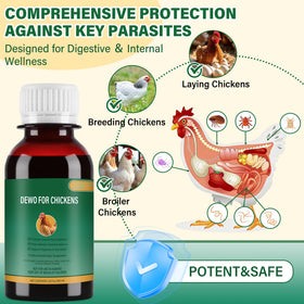 edoia Chickens & Poultry Routine Liquid being added to drinking water for steady routine