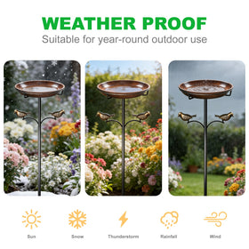 Edrifyah spacious 12-inch bowl accommodates multiple birds for therapy-like social time.