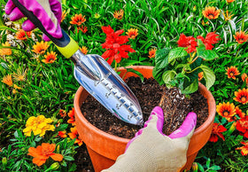 Edward Tools Transplanter Trowel featuring engraved depth guide for consistent transplant depth