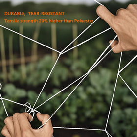 EDYCARX breathable grid design promotes airflow and sunlight for healthy growth.