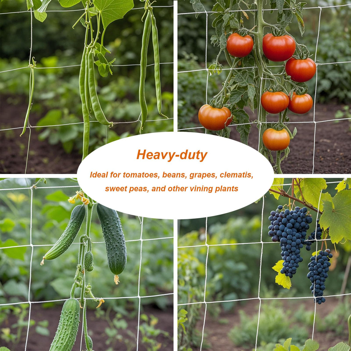 EDYCARX easy-installation netting ensures quick setup without tools.