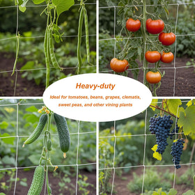 EDYCARX easy-installation netting ensures quick setup without tools.