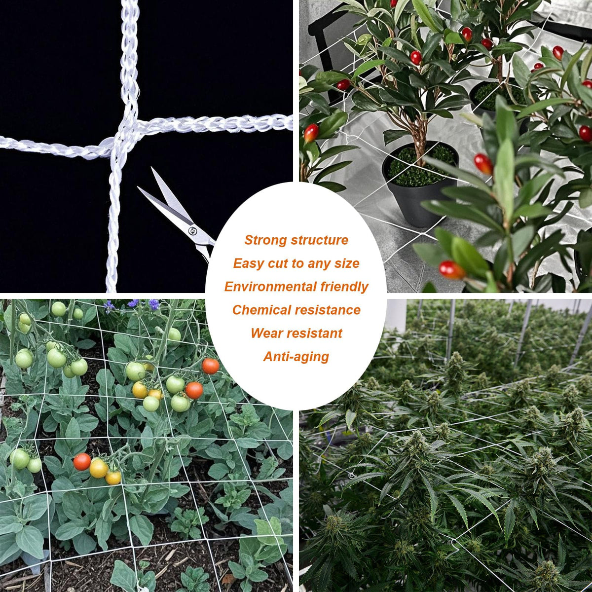 EDYCARX vertical gardening with trellis netting enhances space efficiency.