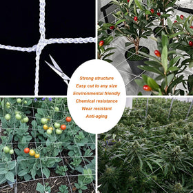 EDYCARX vertical gardening with trellis netting enhances space efficiency.