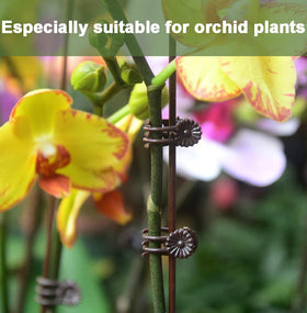 EESC2Y clips support climbing vines, guiding growth toward sunlight.