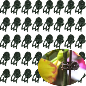 EESC2Y orchid clips in dark green provide discreet support for delicate stems.
