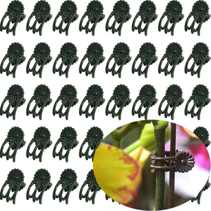 EESC2Y orchid clips in dark green provide discreet support for delicate stems.