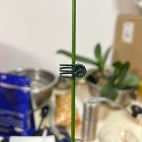 EESC2Y clips keep vines tidy on trellises and shelves.
