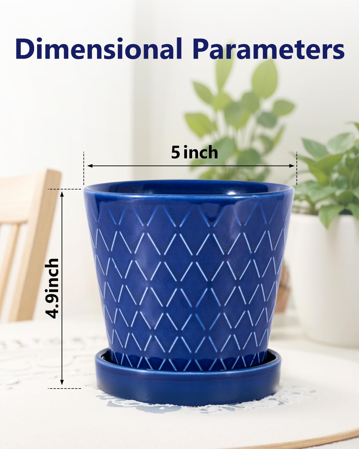 EFISPSS 5-inch ceramic pot ideal for small herbs and succulents